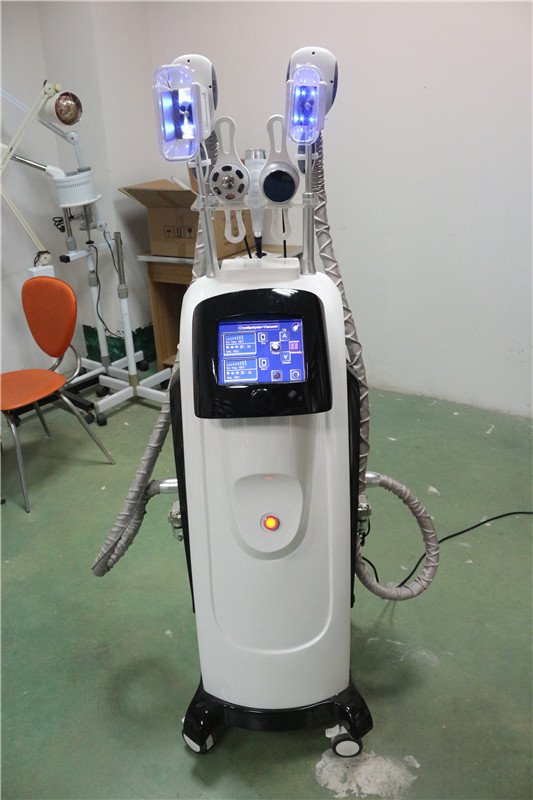 cryolipolisis electric stimulation therapy machine design for man Tingmay-12