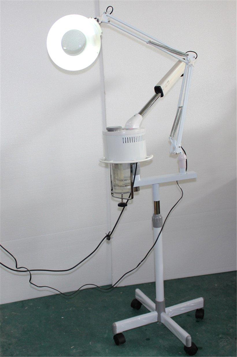 Tingmay Brand tm818 ozone professional face steamer machine lamp supplier