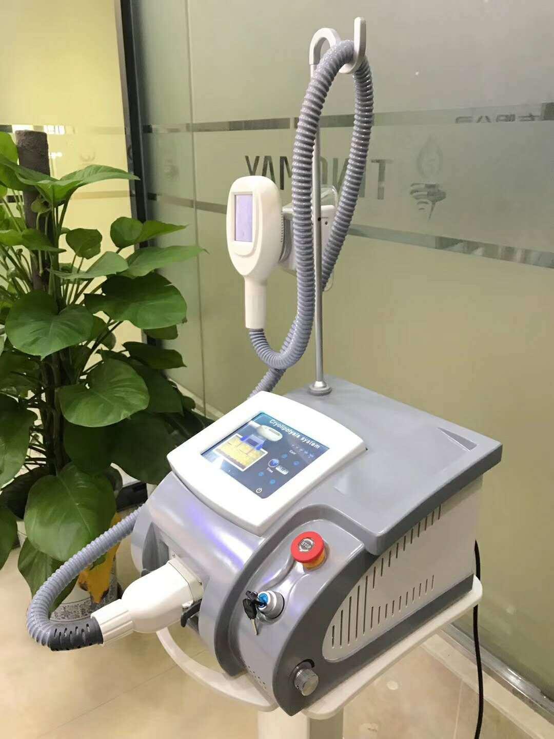cavitation cryolipolysis machine for sale customized for woman Tingmay