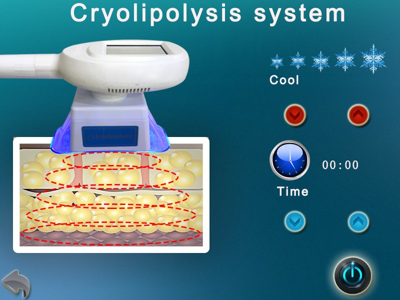 cavitation cryolipolysis machine for sale customized for woman Tingmay-6