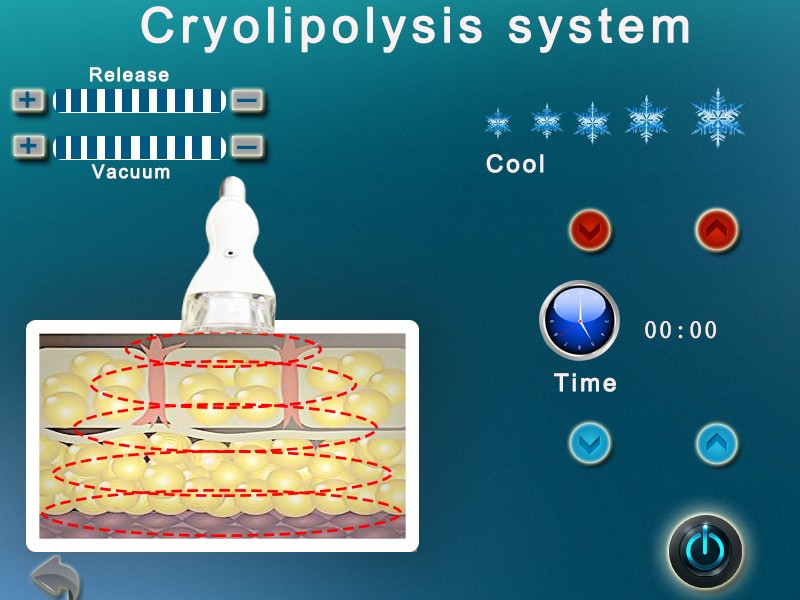 cavitation cryolipolysis machine for sale customized for woman Tingmay-7