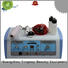 Tingmay facial galvanic facial machine price personalized for beauty salon